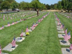 2012 USA, Memorial day