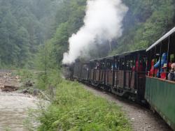 2015 Maramures, the steam train