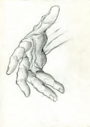 scn1_233