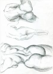 scn1_234