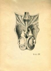 scn1_347